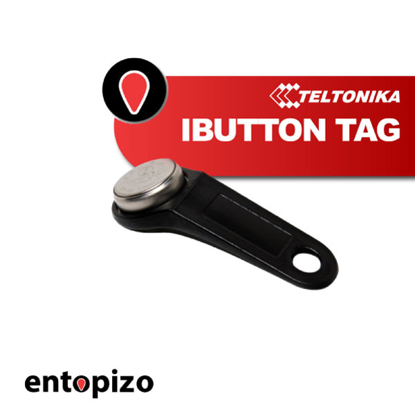 Étiquette iButton