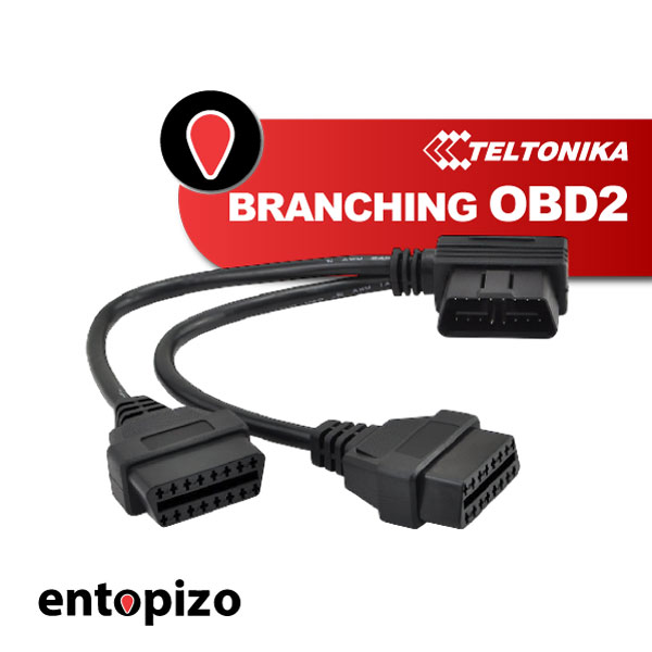 RAMIFICATION OBD2