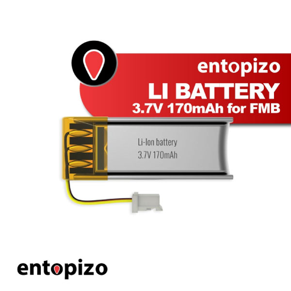Batterie au lithium 3,7 V 170 mAh POUR FMB