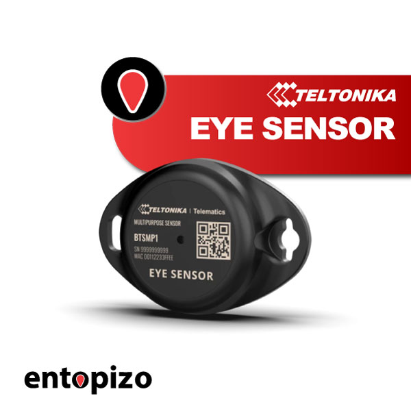 Multi-capteur Bluetooth | Teltonika EYE Sensor BTSMP