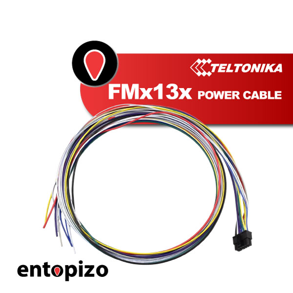 Câble d'alimentation Teltonika PGWS00007030 FMx12x FMx13x de 1,5 m