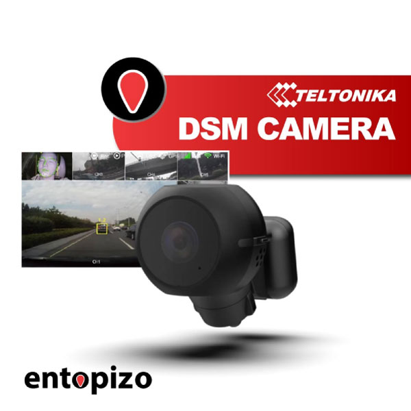 Caméra Teltonika DSM