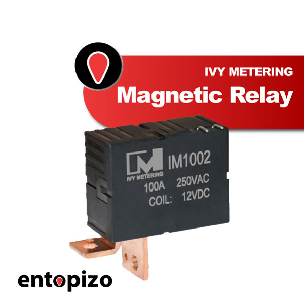 IM1002 Relais magnétique bistable 12 V CC 100 A (2 broches)