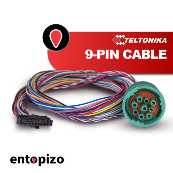 Câble Teltonika série FMx6 à 9 broches (PPCB00007240)